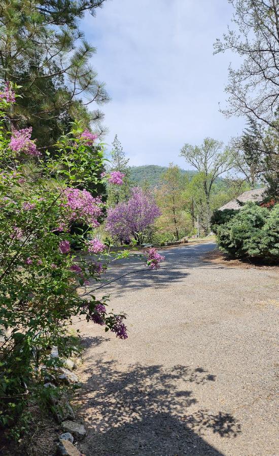 Yosemite Mountain Retreat Villa Oakhurst Ngoại thất bức ảnh
