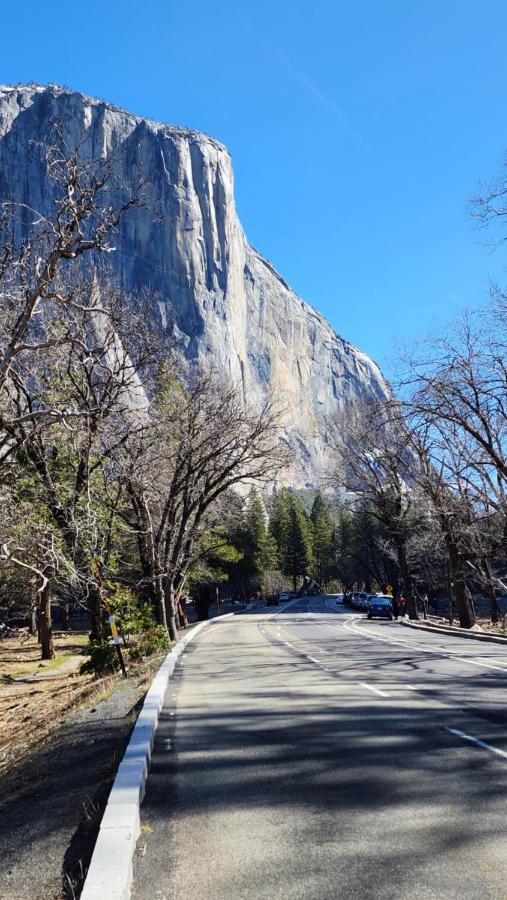 Yosemite Mountain Retreat Villa Oakhurst Ngoại thất bức ảnh